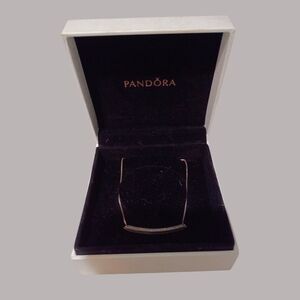 Pandora Silver Necklace with Dark Accents